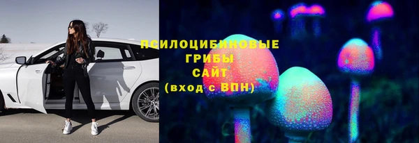 a pvp Алексин