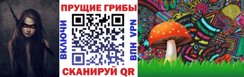 Галлюциногенные грибы MAGIC MUSHROOMS  Карачаевск 